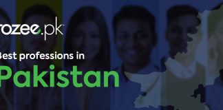 Best Profession in Pakistan